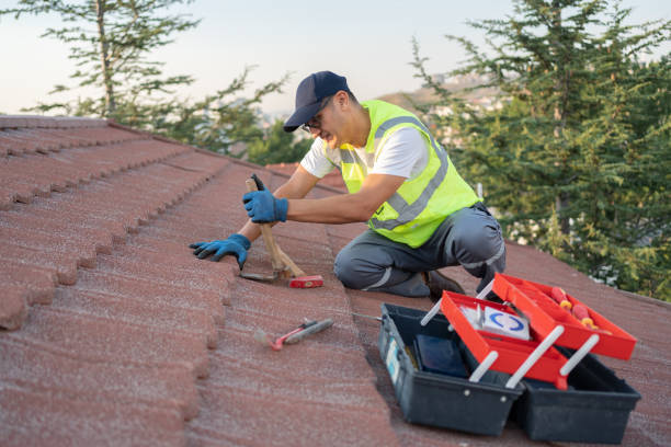 Quick and Trustworthy Emergency Roof Repair Services in St James, MN