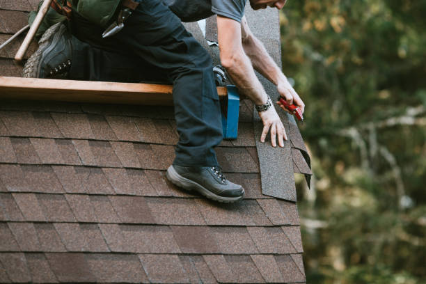 Best Metal Roofing Contractor  in St James, MN